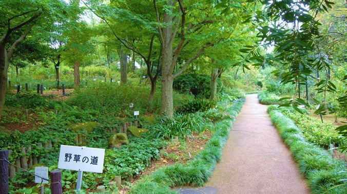 その他　赤塚植物園（その他）まで675m