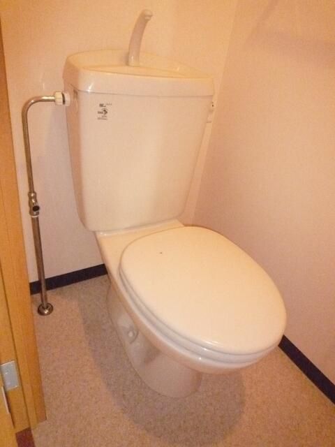 コライユのトイレ写真