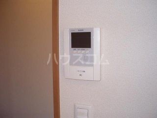 ユーパークウツギのその他写真