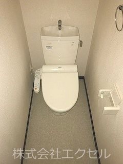 西武多摩湖線 武蔵大和駅 徒歩19分 2階建 築17年のトイレ写真