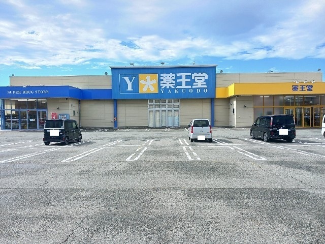 その他　薬王堂盛岡厨川店（その他）まで750m