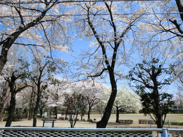 公園　堤下公園（公園）まで1960m