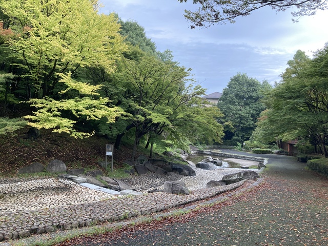 その他　一本杉公園（その他）まで581m