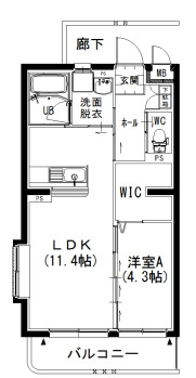 小田郡矢掛町西川面のマンションの間取り