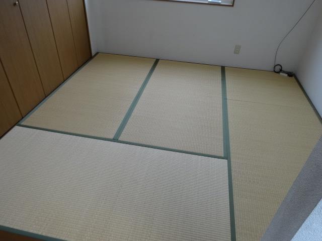 みかんちゃん_その他_0