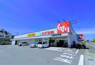 ドラックストア　スギ薬局上池店（ドラッグストア）まで663m