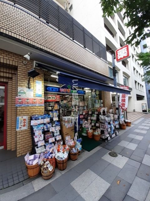 ドラックストア　池田薬局（ドラッグストア）まで493m