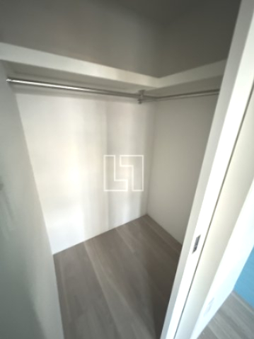 収納　セレニテ本町東リアン　クローゼット