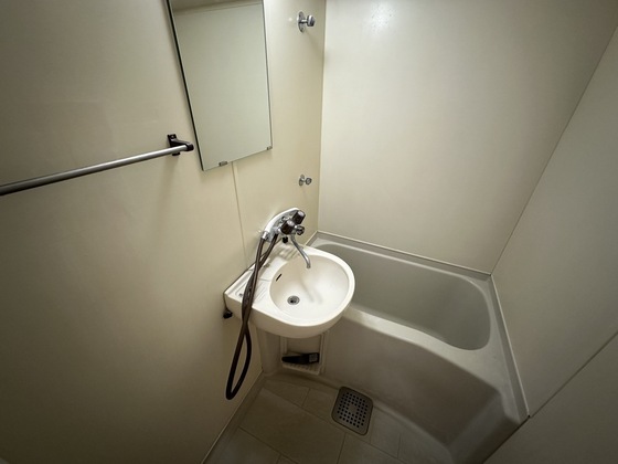 バス・シャワールーム　※別部屋の写真です