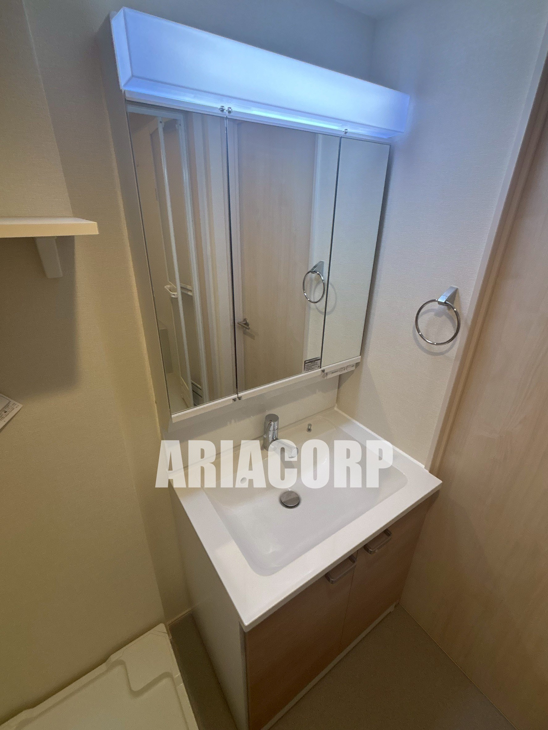 洗面設備　独立洗面台、シャワーヘッドタイプで洗髪や手入れに◎です