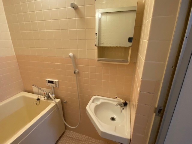 洗面設備　前回イメージ