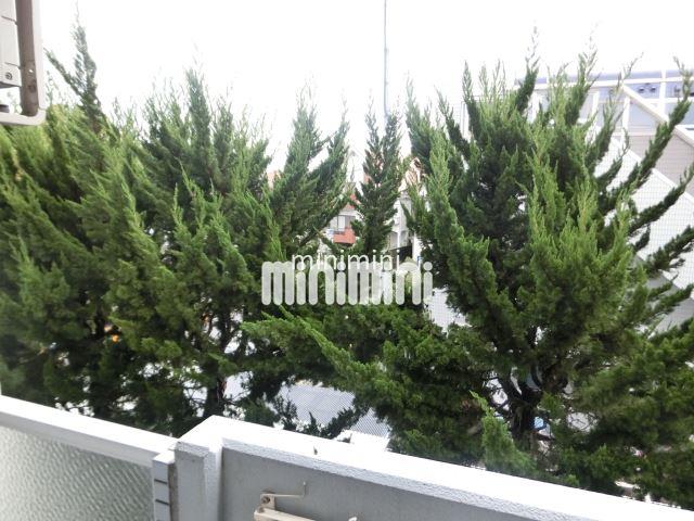 眺望　外には木々が植えてあります。