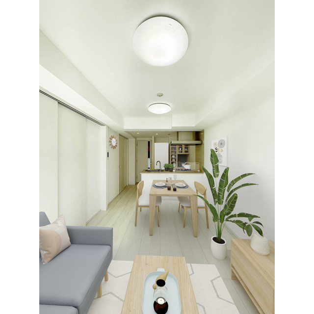 居室・リビング　※家具・調度品等はＣＧ　加工です。実際の賃貸住居　には含まれ