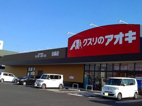 ドラックストア　クスリのアオキ扶桑店（ドラッグストア）まで1122m