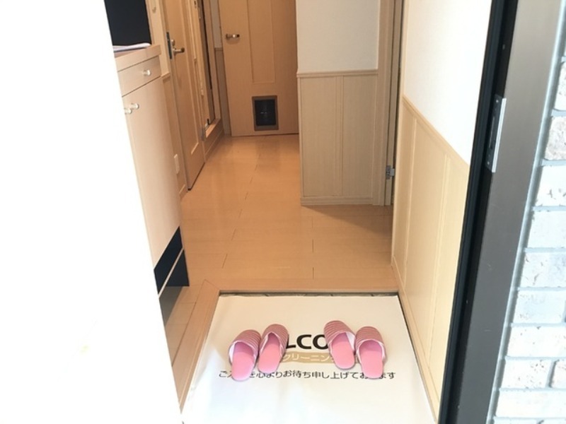 玄関　図面と現状に相違がある場合には現状を優先