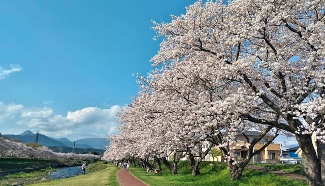 公園　潤井川河川敷（公園）まで1000m