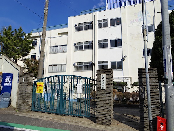 小学校　北区立梅木小学校（小学校）まで564m