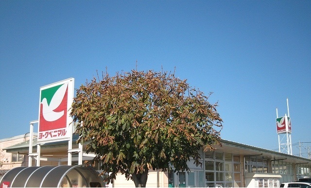 スーパー　ヨークベニマル西川田店（スーパー）まで2100m