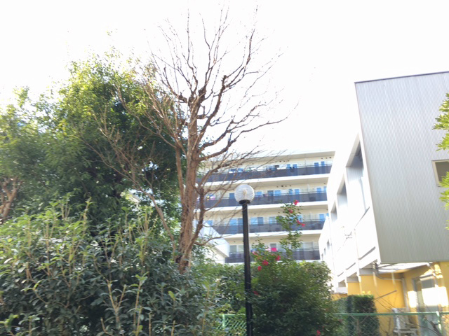 眺望　別号室参照写真