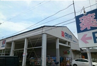 ドラックストア　クリエイト（ドラッグストア）まで1100m
