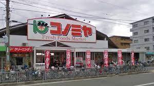 スーパー　コノミヤ浜寺石津店（スーパー）まで744m