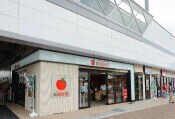 スーパー　スーパーマーケットKINSHO東花園店（スーパー）まで347m