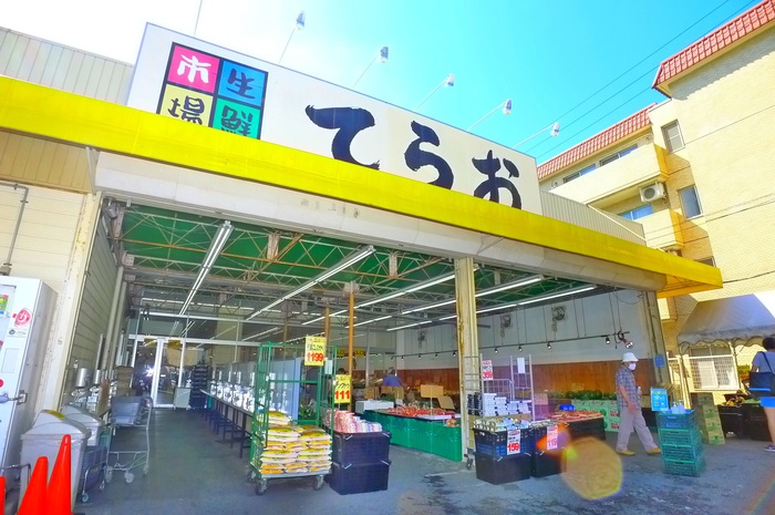 スーパー　てらおスーパー（スーパー）まで790m