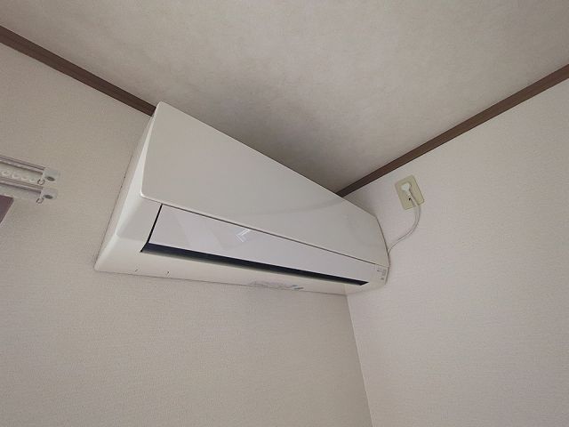 カミーノのその他写真