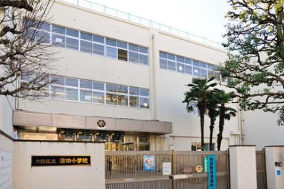 小学校　大田区立蒲田小学校（小学校）まで216m