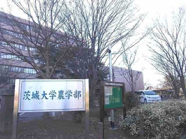 大学・短大　茨城大学農学部（大学・短大）まで700m