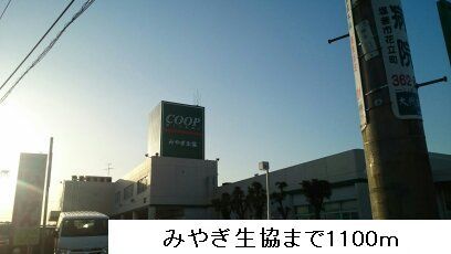 スーパー　みやぎ生協多賀城大代店（スーパー）まで1100m
