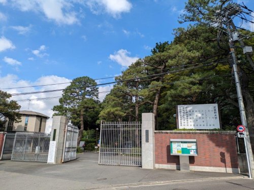 大学・短大　武蔵野大学（大学・短大）まで1209m