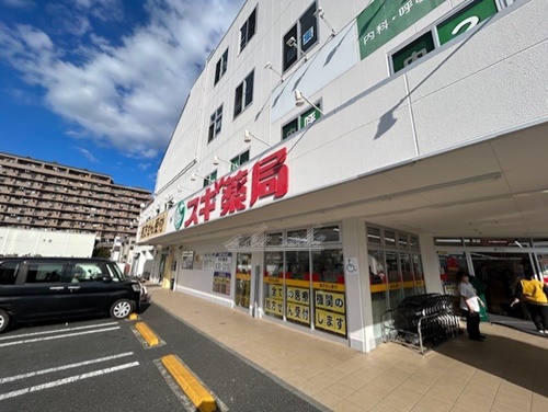 ドラックストア　スギ薬局 海老名東柏ケ谷店（ドラッグストア）まで268m