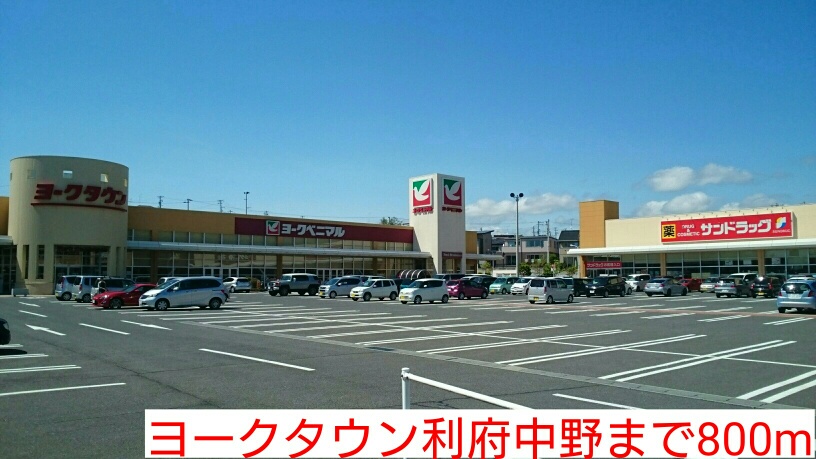 ショッピングセンター　ヨークタウン利府中野（ショッピングセンター）まで800m