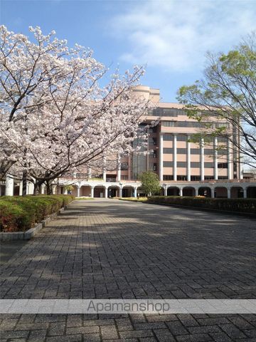 小学校　宮崎大学教育学部附属小学校（小学校）まで339m