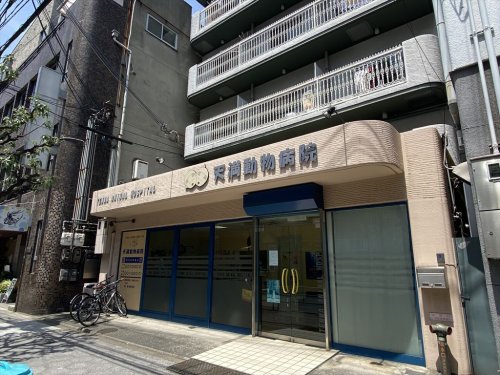 病院　天満動物病院（病院）まで70m