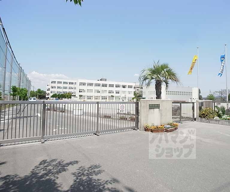 小学校　第五向陽小学校（小学校）まで380m