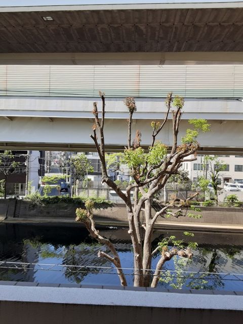 眺望