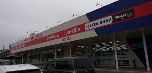 ドラックストア　ウェルネス境港渡店（ドラッグストア）まで450m