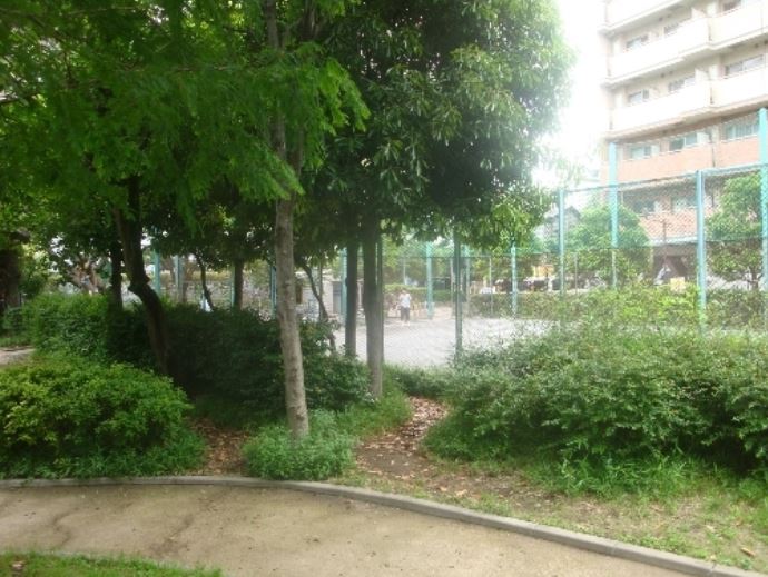 公園　小関公園（公園）まで246m