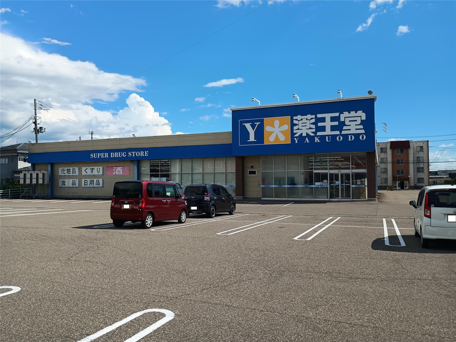 ドラックストア　薬王堂大曲飯田店（ドラッグストア）まで250m