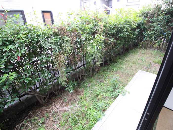 バルコニー　※別間取りのお写真になります。