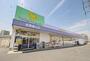 ドラックストア　ウェルパーク所沢小手指店（ドラッグストア）まで1081m