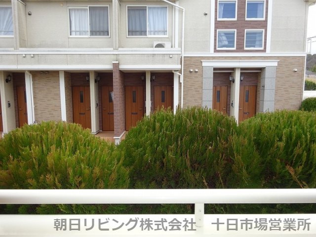 眺望