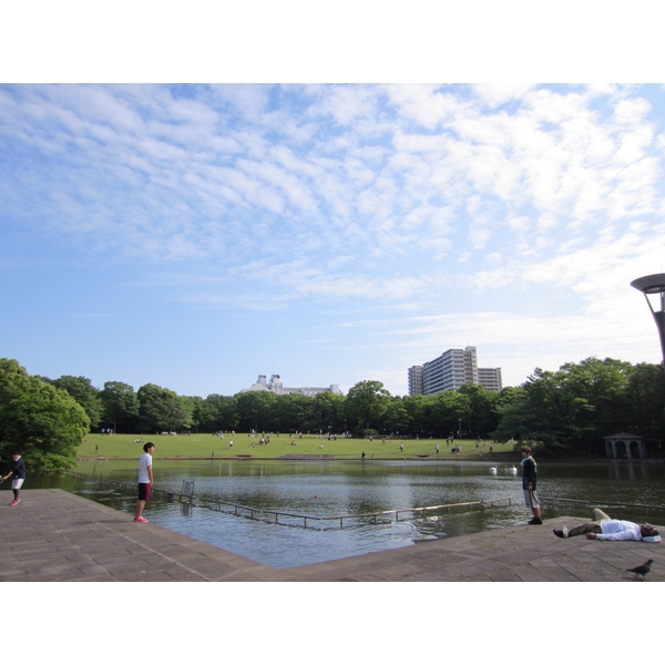 公園　多摩中央公園（公園）まで685m