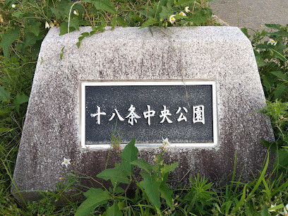 公園　十八条中央公園（公園）まで120m