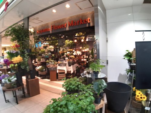その他　Aoyama Flower Market(アオヤマ フラワー（その他）まで265m