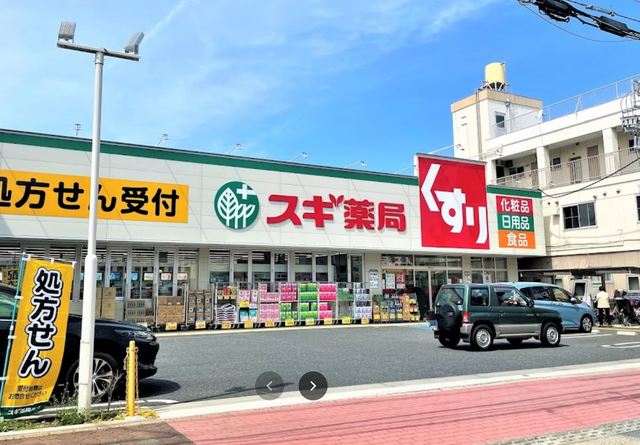 ドラックストア　スギ薬局江戸川南店（ドラッグストア）まで250m