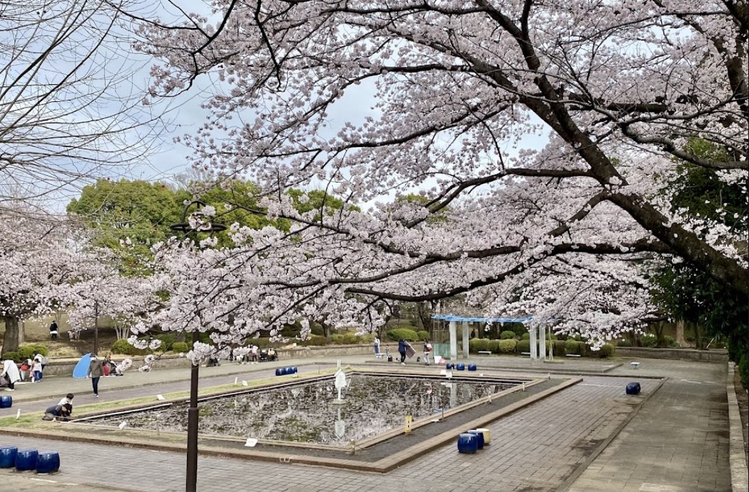公園　鹿沼公園（公園）まで1033m