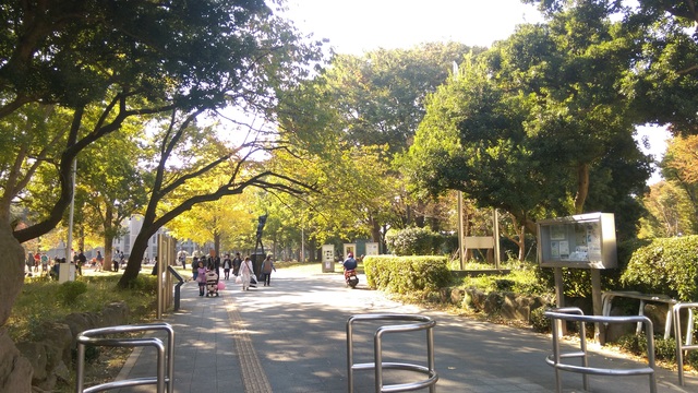その他　北浦和公園（その他）まで50m